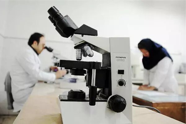 تأکید بر جذب پژوهشگر پسادکتری و توسعه راهبردی در دانشگاه سیستان و بلوچستان