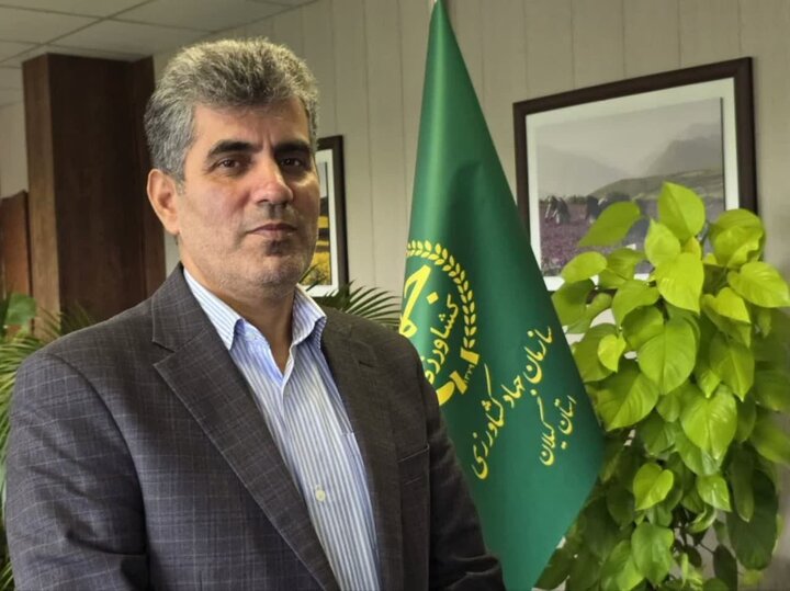 رئیس جهاد کشاورزی گیلان: بار امنیت غذایی کشور بر دوش استان های شمالی است