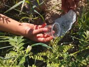 قرارداد ۲۱۰۰ هکتاری امسال رها سازی زنبور «براکون و تریکوگراما» در مزرع همدان