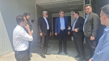 فرماندار رشت: اطلاع‌رسانی دقیق خاموشی‌ها برای کاهش خسارت تولید ضروری است
