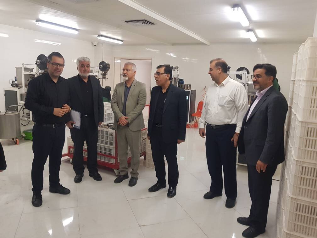 Fars Anti-Smuggling Commission Secretary: Domestic Production Distribution Must Be Facilitated