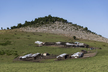 دشت مرکوه؛ جلوه‌ای از طبیعت زیبای استان گلستان