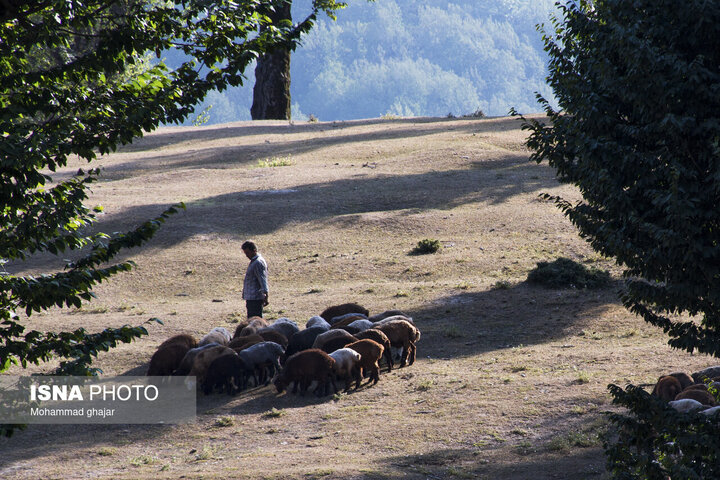 دشت مرکوه؛ جلوه‌ای از طبیعت زیبای استان گلستان