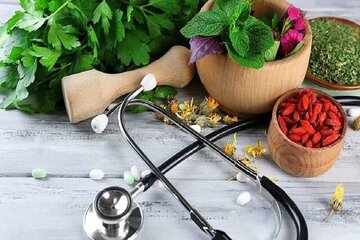 طب ایرانی بدون پژوهش و شواهد علمی به جایگاه واقعی خود نمی‌رسد