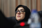 مهاجرانی: دولت با تمام توان به دنبال تأمین منابع لازم برای آغاز بازسازی است