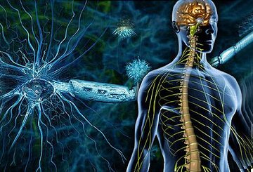 نقش تاثیرگذار حمایت اجتماعی بر روند درمان بیماران مبتلا به ام اس