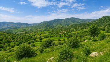 بازپس گیری ۱.۵ هکتار اراضی ملی در لنگرود