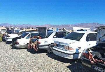 دستگیری ۲۵ قاچاقچی کالای قاچاق در مرزهای سیستان و بلوچستان