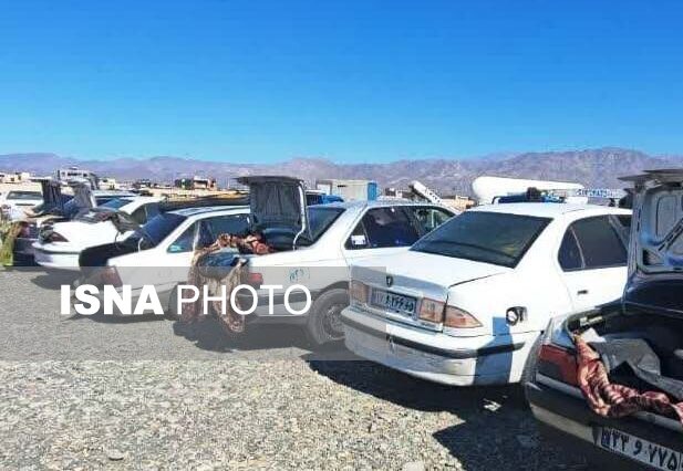 دستگیری ۲۵ قاچاقچی کالای قاچاق در مرزهای سیستان و بلوچستان