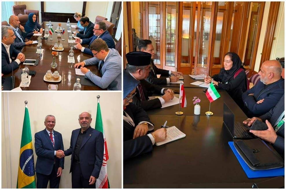 Midri Met with Labor Ministers of BRICS Member Countries