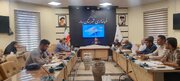 شناسایی ۱۱ واحد نانوایی‌ آزاد پز متخلف در بهار