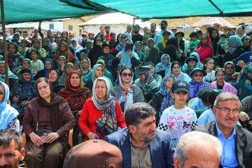 مسابقات کشتی سنتی لوچو در روستای کوهستانی امامزاده حسن- سوادکوه