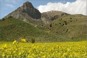 خراسان شمالی تنها استان با ۴ پارک ملی