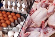 تولید ۳۰ درصد تخم‌مرغ و ۲۷ درصد مرغ البرز در اشتهارد