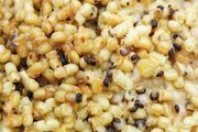 لارو و شفیره زنبور عسل؛ منبعی مغذی با ظرفیت غذایی بالا