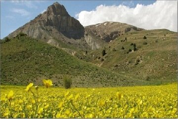 خراسان شمالی تنها استان با ۴ پارک ملی