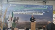 معاون وزیر جهادکشاورزی:  سال طلایی تولید زراعی کشور رقم خورد