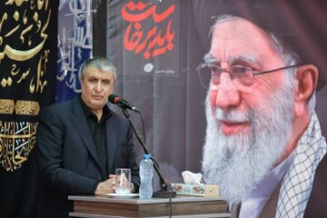 محمد اسلامی: صنعت هسته‌ای میراث امام شهید است