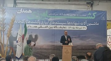 معاون وزیر جهادکشاورزی:  سال طلایی تولید زراعی کشور رقم خورد