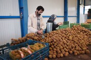 شناسه‌دار کردن انبارها و سورتینگ‌ها در دستورکار کارگروه صادرات آستارا قرار گرفت