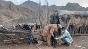 اجرای طرح ایمن‌سازی دام در مناطق روستایی و عشایری شهرستان مرزی سرباز