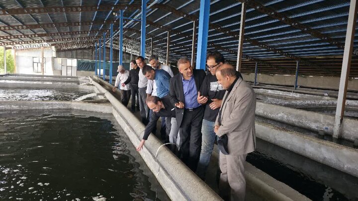 تأمین برق مهمترین مطالبه کارخانه گرافیت ملایر
