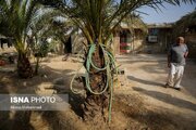 «مبیطیحه»؛ از برق‌کشی تا انتظار مدرسه و بهداشت 