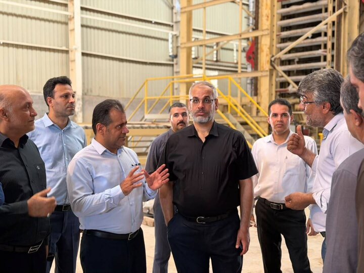 مشکلات واحدهای صنعتی بوشهر در بازدید معاون وزیر کار بررسی شد