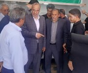 مدیرکل امور روستایی استانداری کرمان: طرح‌های تولیدی رفسنجان الگوی موفق اشتغال روستایی است