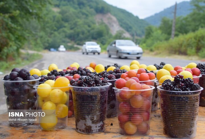رونق گردنه حیران با فروش بلال، آلوچه و تمشک وحشی