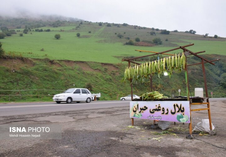 رونق گردنه حیران با فروش بلال، آلوچه و تمشک وحشی/ کام شیرین مسافران با میوه‌های جنگلی