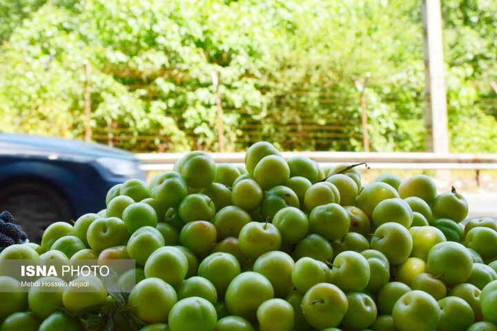 رونق گردنه حیران با فروش بلال، آلوچه و تمشک وحشی/ کام شیرین مسافران با میوههای جنگلی