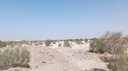 شناسایی۴۹ هزار هکتار کانون گرد و غبار در همدان