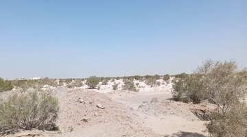 شناسایی ۴۹ هزار هکتار کانون گرد و غبار در همدان