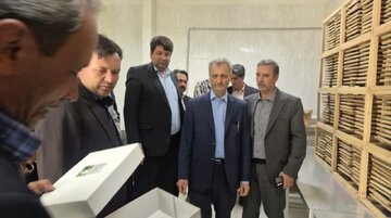 حمایت از سرمایه‌گذار و احیای واحدهای راکد تولیدی دو راهبرد توسعه راز و جرگلان 