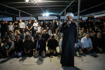 تردد هزاران زائر اربعین حسینی از ایلام؛ خدمات‌رسانی مواکب در مسیر کربلا