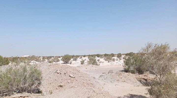 شناسایی۴۹ هزار هکتار کانون گرد و غبار در همدان