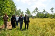 فرماندار لاهیجان: توسعه مکانیزاسیون از مهم‌ترین عوامل افزایش بهره‌وری بخش کشاورزی است