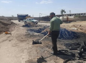 برخورد با قاچاقچیان چوب تاغ در کرمان