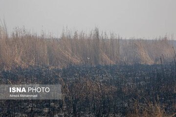 آتش‌سوزی در نیزارهای حاشیه یک کانال/ حریق در محدوده «هورالعظیم» نیست 