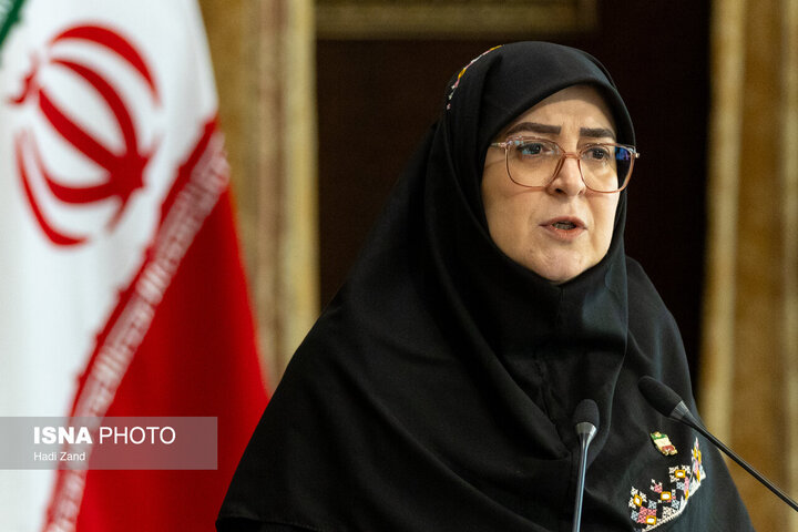 سخنگوی دولت خبر داد: تصویب آیین‌نامه حمایت از بازگشت نخبگان خارج از کشور  در هیات دولت