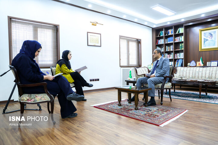 سفیر پاکستان: دیپلماسی هنوز شکست نخورده است/ نمی‌توان تنهایی با چالش‌های مرزی مقابله کرد