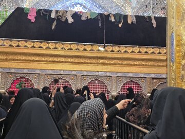 حال و هوای نجف اشرف، چند روز مانده به اربعین حسینی+ عکس