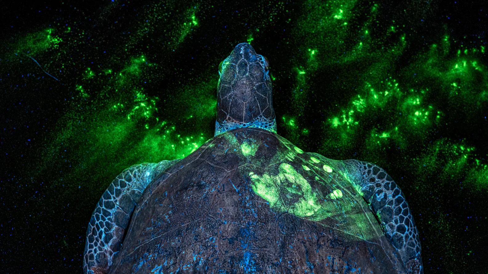 برترین تصاویر علمی ماه به انتخاب مجله نیچر