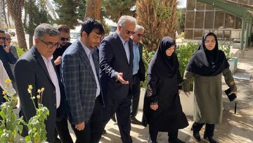بررسی وضعیت تالاب هامون در سفر رئیس سازمان حفاظت محیط زیست به سیستان و بلوچستان
