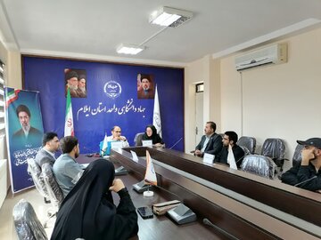 تأثیر سیاست‌های اقتصادی بر سلامت روان جامعه ایلام