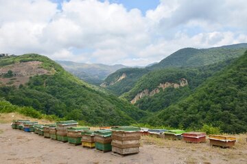 حکایت شیرین زنبورداران در بلندای ابرهای گردنه حیران