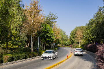 خزان در تابستان!