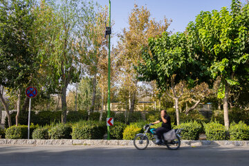 خزان در تابستان!