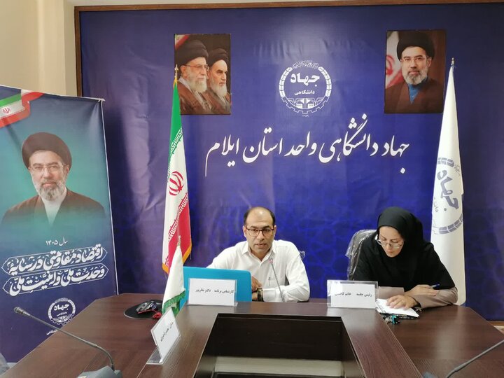 تأثیر سیاست‌های اقتصادی بر سلامت روان جامعه ایلام